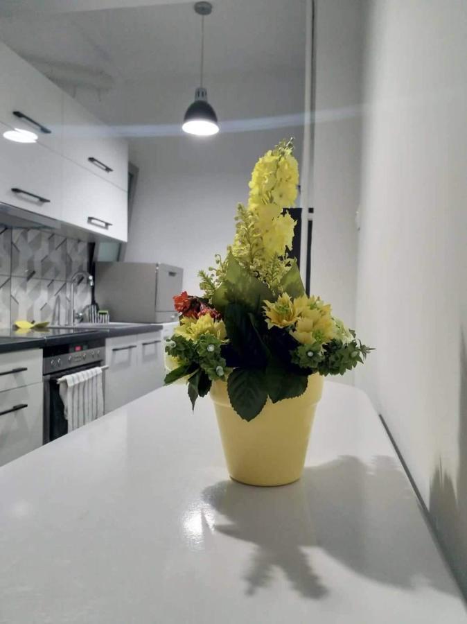 A Convenient Apartment In The Heart Of Aten Exteriör bild